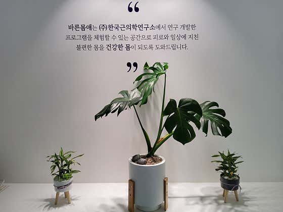 바른몸애 부산정관점 photo 6