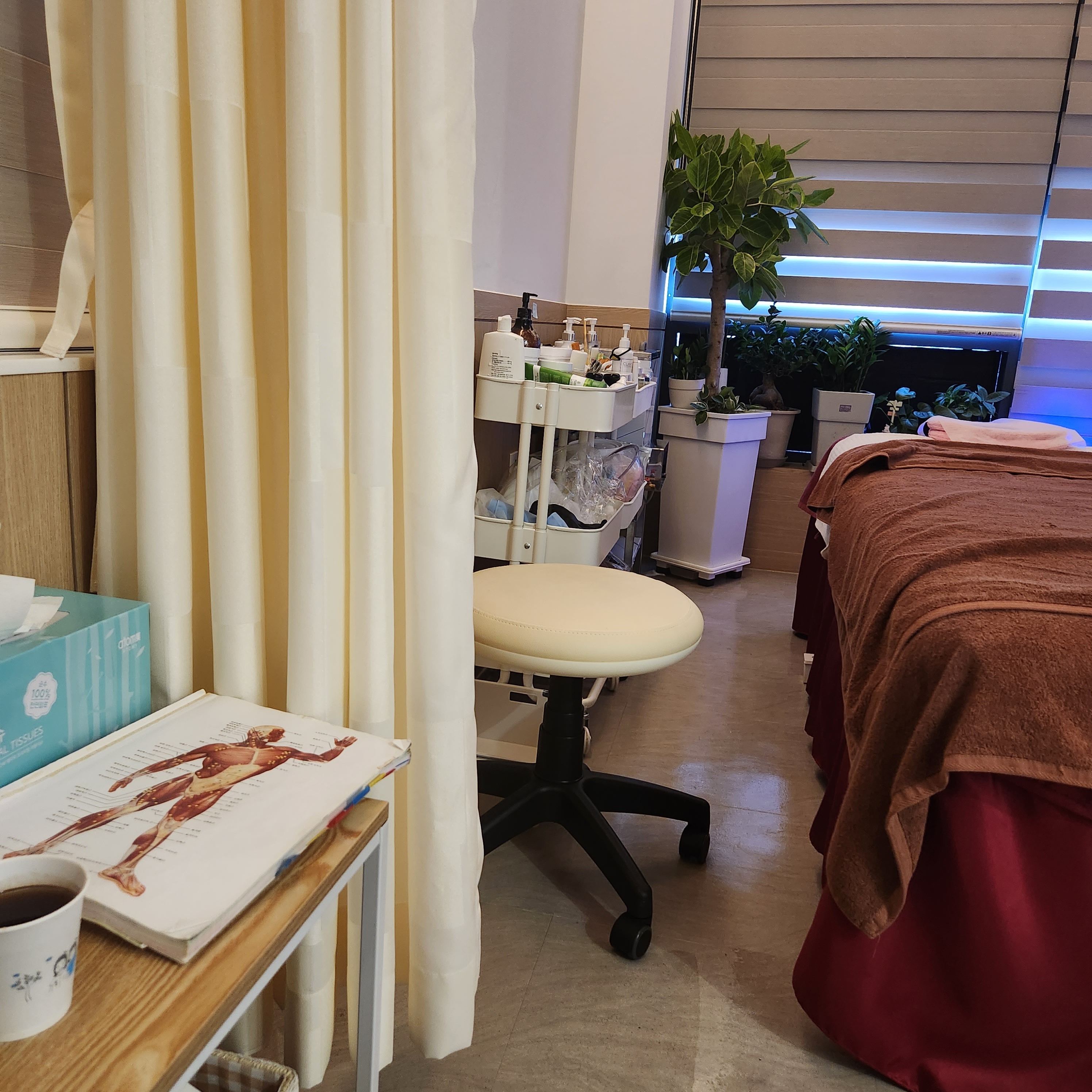 라인아로마 photo 6